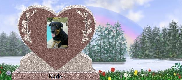 Kado's Rainbow Bridge Pet Loss Memorial Residency Image