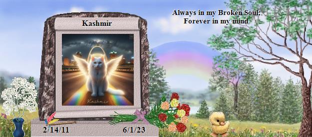 Kashmir's Rainbow Bridge Pet Loss Memorial Residency Image