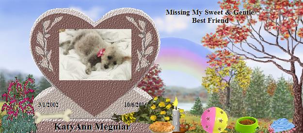 KatyAnn Meguiar's Rainbow Bridge Pet Loss Memorial Residency Image