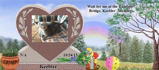 Keebler's Rainbow Bridge Pet Loss Memorial Residency Image