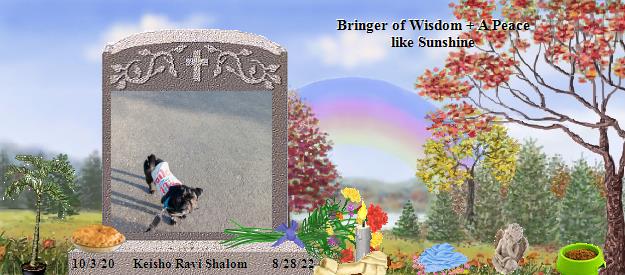 Keisho Ravi Shalom's Rainbow Bridge Pet Loss Memorial Residency Image