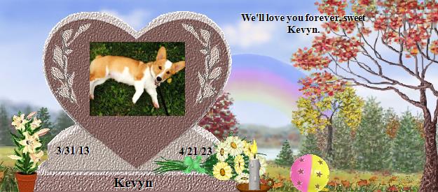 Kevyn's Rainbow Bridge Pet Loss Memorial Residency Image