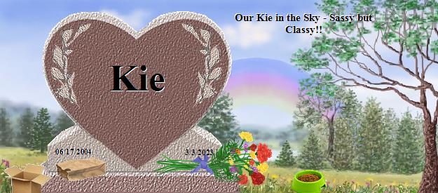 Kie's Rainbow Bridge Pet Loss Memorial Residency Image