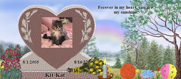 Kit-Kat's Rainbow Bridge Pet Loss Memorial Residency Image