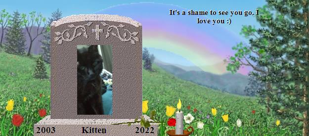 Kitten's Rainbow Bridge Pet Loss Memorial Residency Image