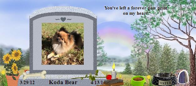 Koda Bear's Rainbow Bridge Pet Loss Memorial Residency Image