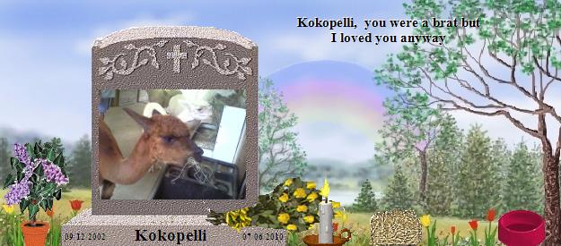 Kokopelli's Rainbow Bridge Pet Loss Memorial Residency Image