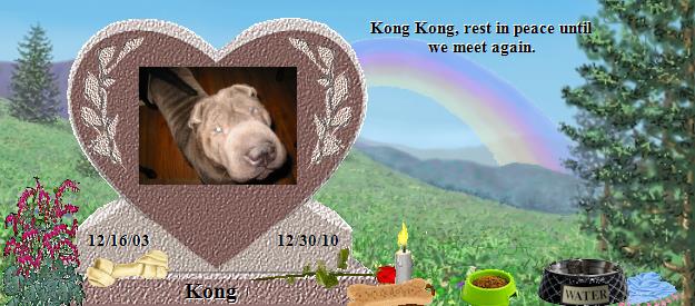 Kong's Rainbow Bridge Pet Loss Memorial Residency Image