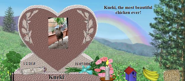 Kueki's Rainbow Bridge Pet Loss Memorial Residency Image