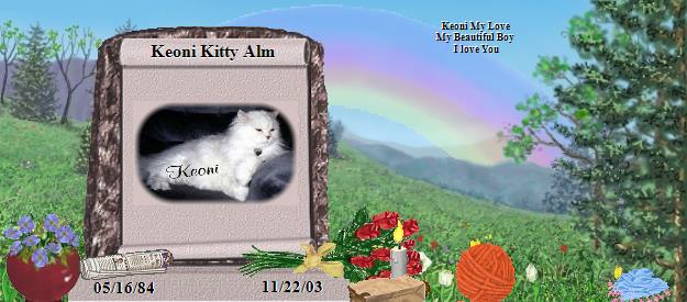 Keoni Kitty Alm's Rainbow Bridge Pet Loss Memorial Residency Image