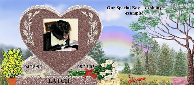 LATCH's Rainbow Bridge Pet Loss Memorial Residency Image