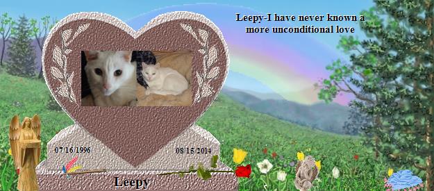 Leepy's Rainbow Bridge Pet Loss Memorial Residency Image