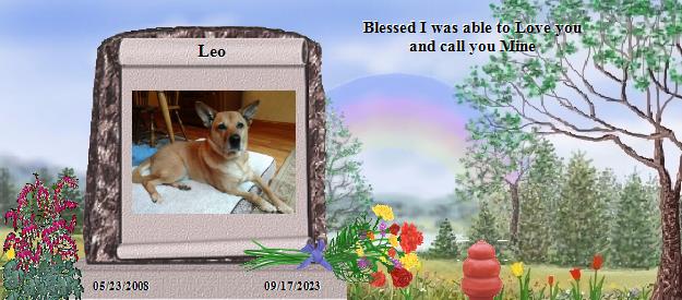 Leo's Rainbow Bridge Pet Loss Memorial Residency Image