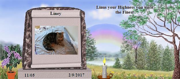 Liney's Rainbow Bridge Pet Loss Memorial Residency Image