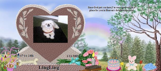 LingLing's Rainbow Bridge Pet Loss Memorial Residency Image