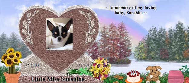 Little Miss Sunshine's Rainbow Bridge Pet Loss Memorial Residency Image