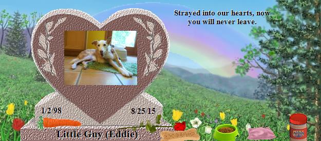 Little Guy (Eddie)'s Rainbow Bridge Pet Loss Memorial Residency Image