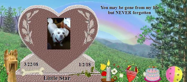 Little Star's Rainbow Bridge Pet Loss Memorial Residency Image