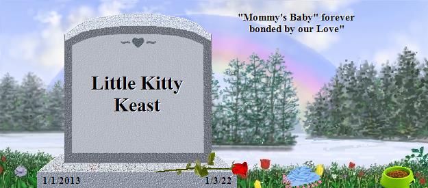 Little Kitty Keast's Rainbow Bridge Pet Loss Memorial Residency Image