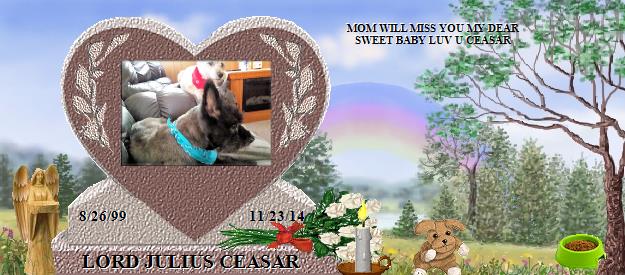 LORD JULIUS CEASAR's Rainbow Bridge Pet Loss Memorial Residency Image