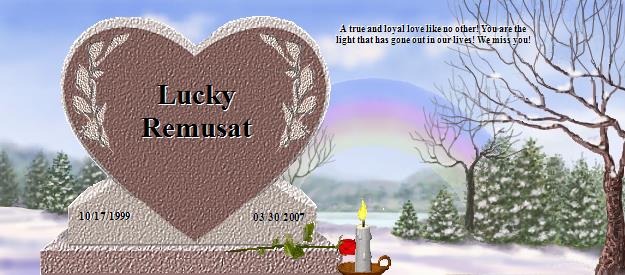 Lucky Remusat's Rainbow Bridge Pet Loss Memorial Residency Image