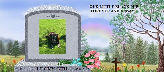 LUCKY GIRL's Rainbow Bridge Pet Loss Memorial Residency Image