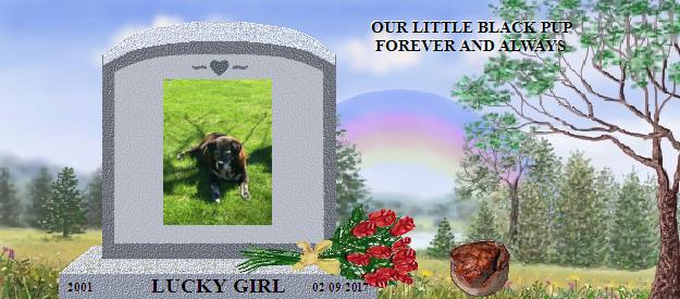 LUCKY GIRL's Rainbow Bridge Pet Loss Memorial Residency Image
