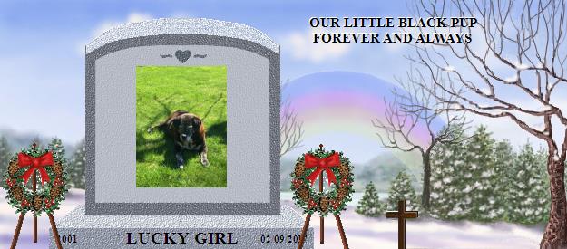 LUCKY GIRL's Rainbow Bridge Pet Loss Memorial Residency Image