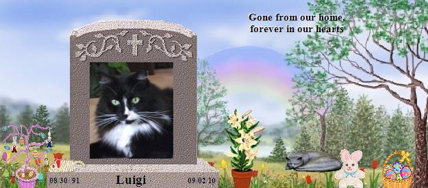 Luigi's Rainbow Bridge Pet Loss Memorial Residency Image