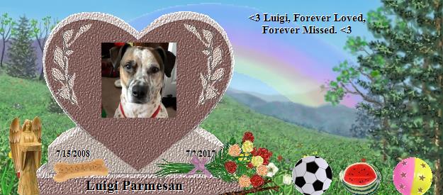 Luigi Parmesan's Rainbow Bridge Pet Loss Memorial Residency Image