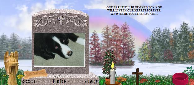 Luke's Rainbow Bridge Pet Loss Memorial Residency Image