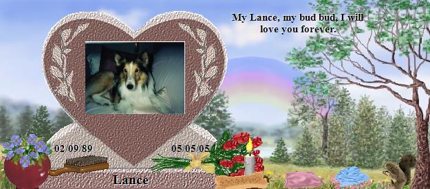 Lance's Rainbow Bridge Pet Loss Memorial Residency Image