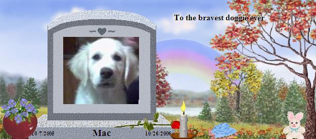 Mac's Rainbow Bridge Pet Loss Memorial Residency Image