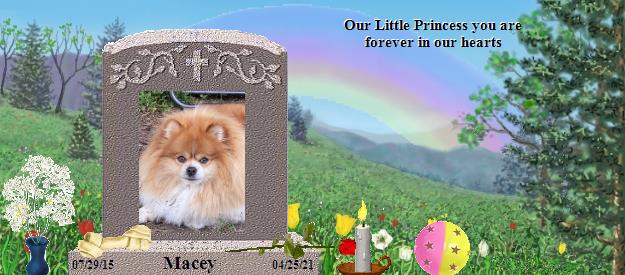 Macey's Rainbow Bridge Pet Loss Memorial Residency Image