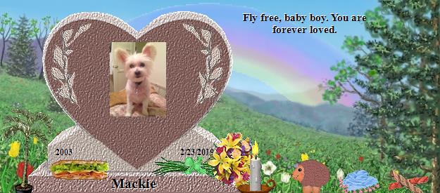 Mackie's Rainbow Bridge Pet Loss Memorial Residency Image