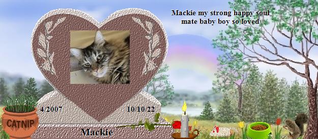 Mackie's Rainbow Bridge Pet Loss Memorial Residency Image