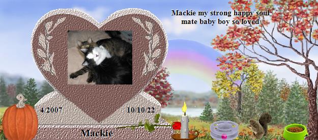 Mackie's Rainbow Bridge Pet Loss Memorial Residency Image