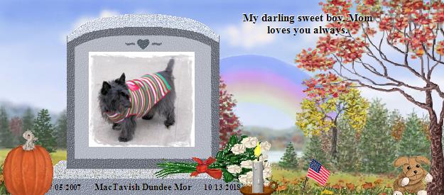 MacTavish Dundee Mor's Rainbow Bridge Pet Loss Memorial Residency Image