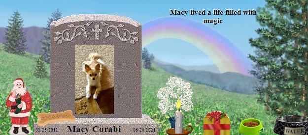 Macy Corabi's Rainbow Bridge Pet Loss Memorial Residency Image