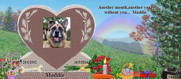 Maddie's Rainbow Bridge Pet Loss Memorial Residency Image