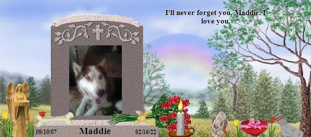 Maddie's Rainbow Bridge Pet Loss Memorial Residency Image