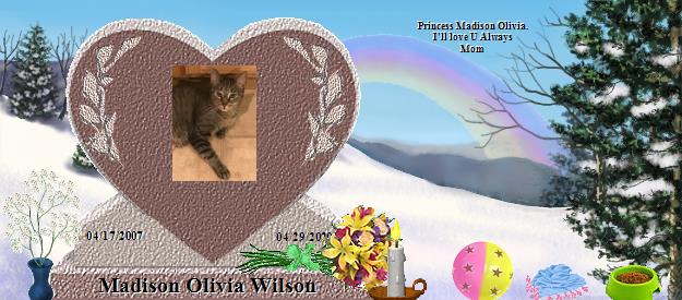 Madison Olivia Wilson's Rainbow Bridge Pet Loss Memorial Residency Image