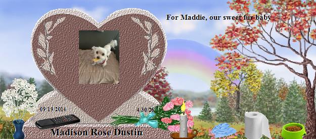 Madison Rose Dustin's Rainbow Bridge Pet Loss Memorial Residency Image