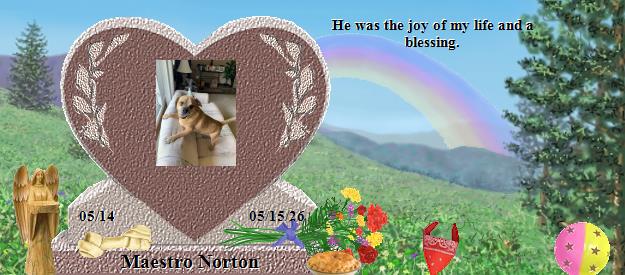 Maestro Norton's Rainbow Bridge Pet Loss Memorial Residency Image