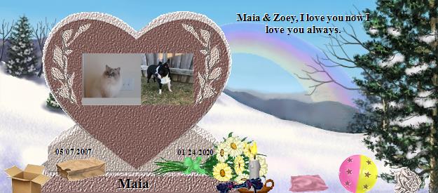 Maia's Rainbow Bridge Pet Loss Memorial Residency Image