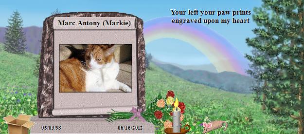 Marc Antony (Markie)'s Rainbow Bridge Pet Loss Memorial Residency Image