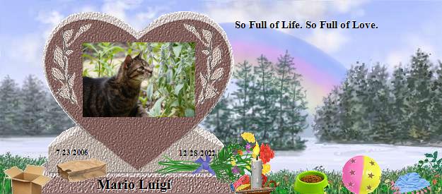 Mario Luigi's Rainbow Bridge Pet Loss Memorial Residency Image