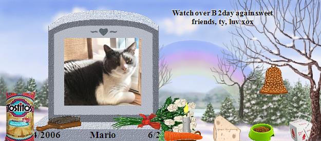 Mario's Rainbow Bridge Pet Loss Memorial Residency Image