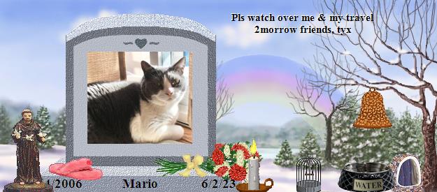 Mario's Rainbow Bridge Pet Loss Memorial Residency Image