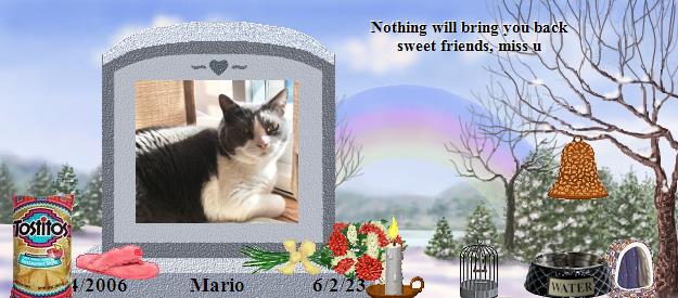 Mario's Rainbow Bridge Pet Loss Memorial Residency Image